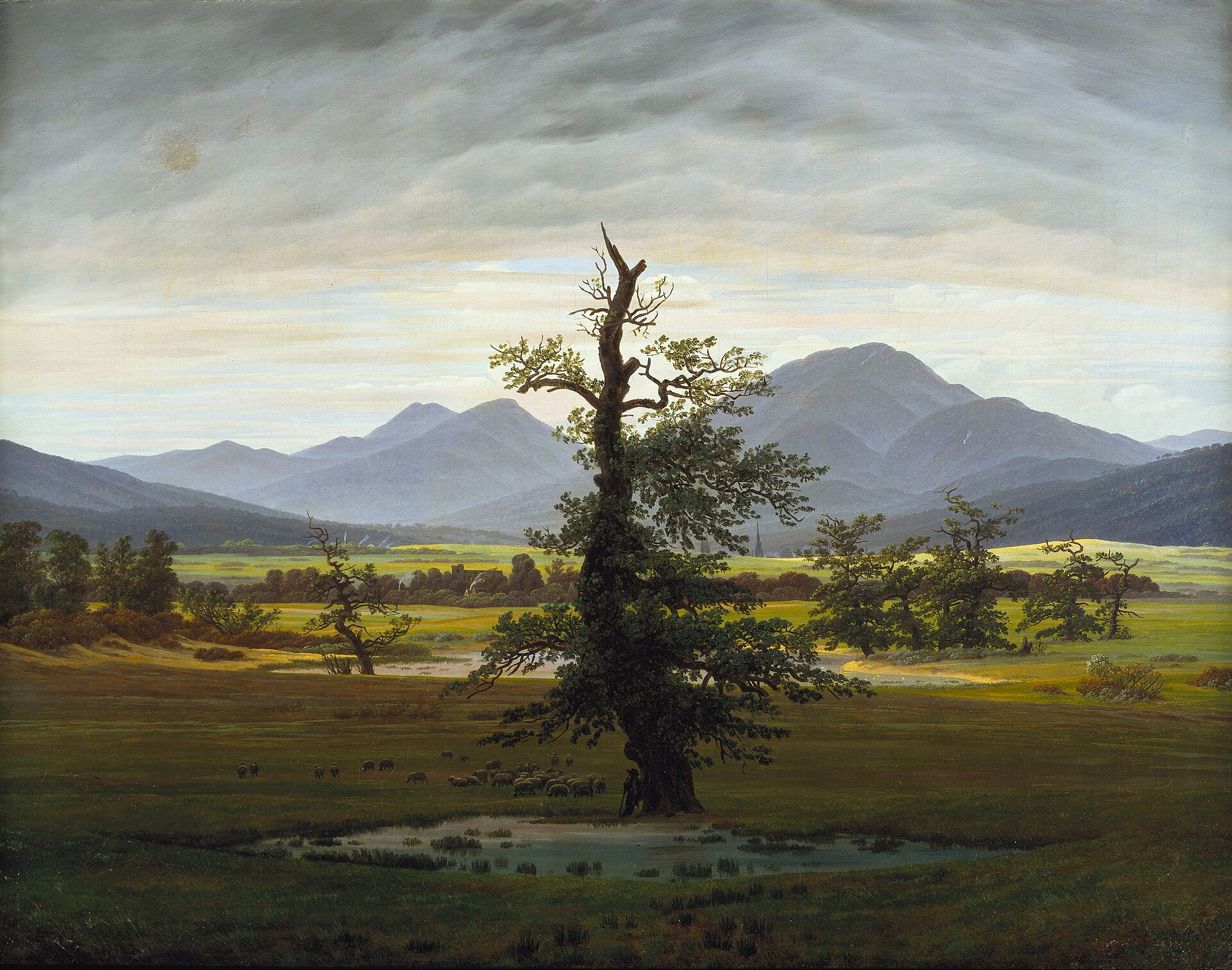 The Lonely Tree