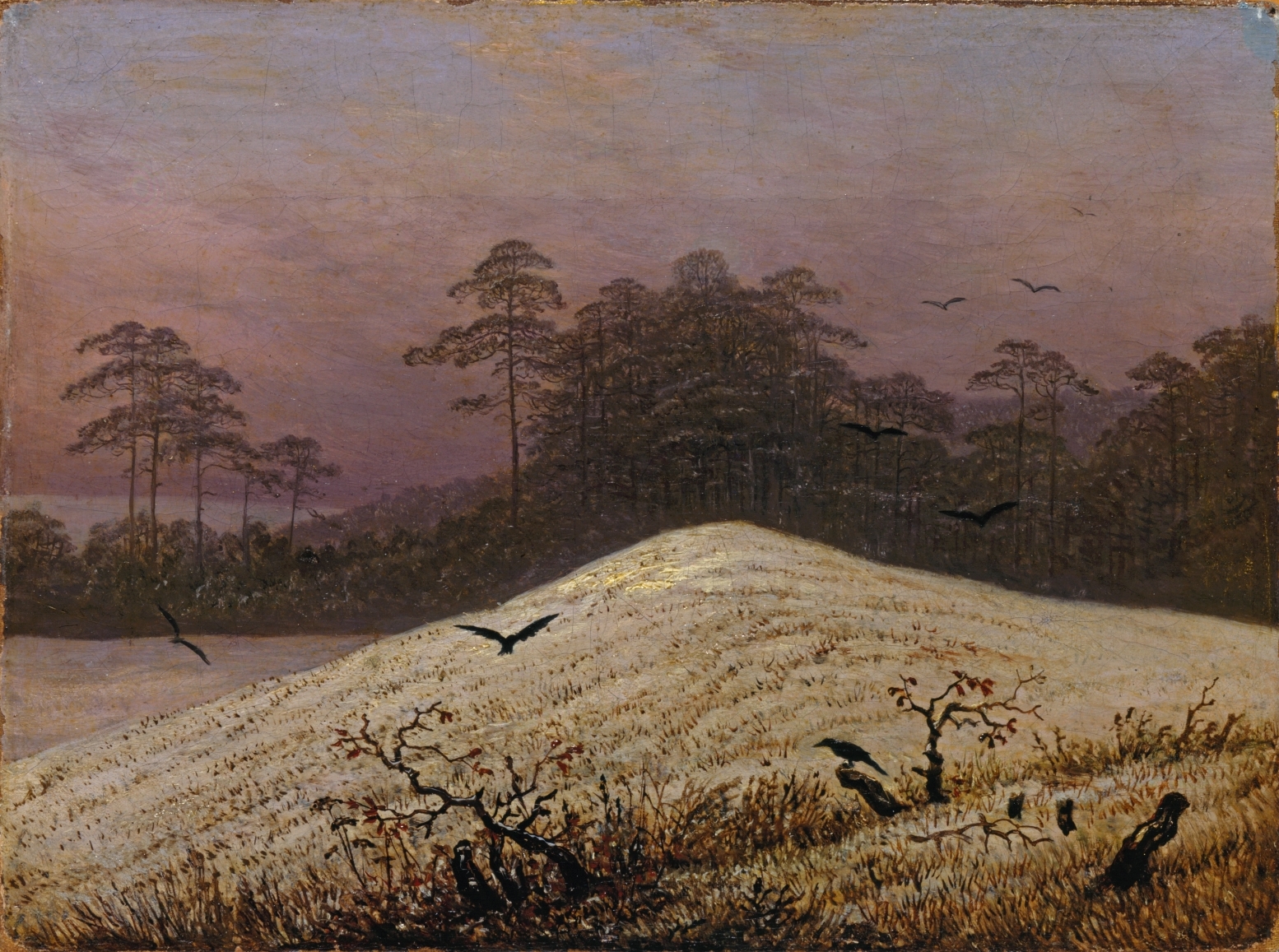 Snow Covered Hill with Ravens